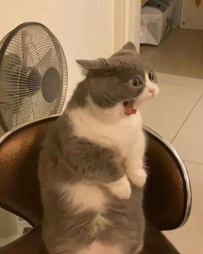 uay07892 aus Bayern,Deutschland